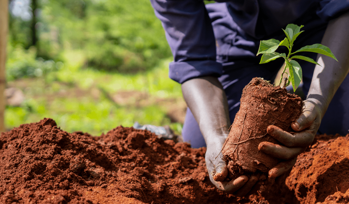 Our goal is to help <BR> nature flourish <BR> and prosper