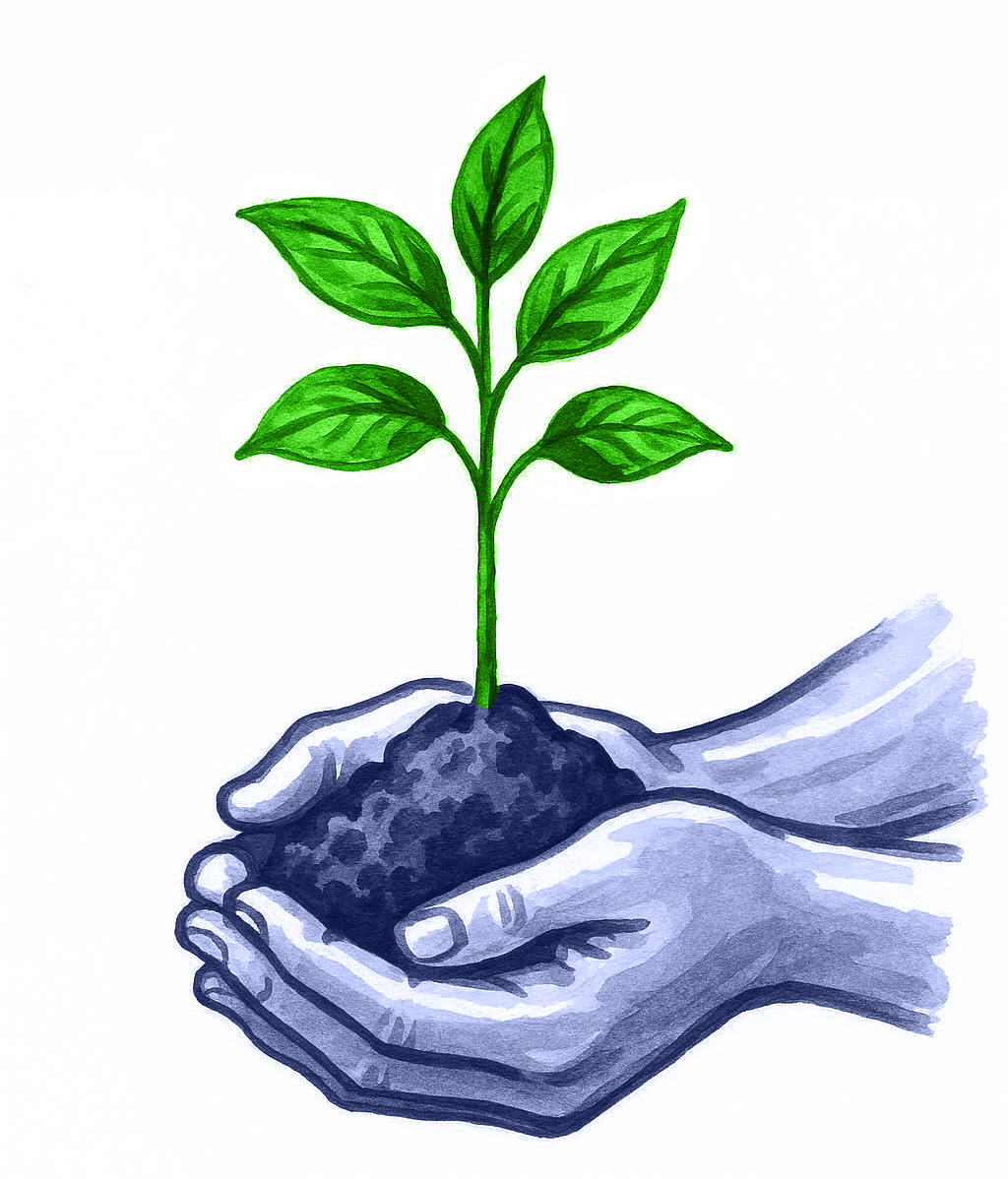 hands seedling